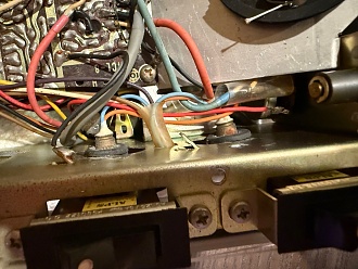 tuner bulbs back