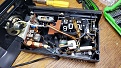 Picture of innards